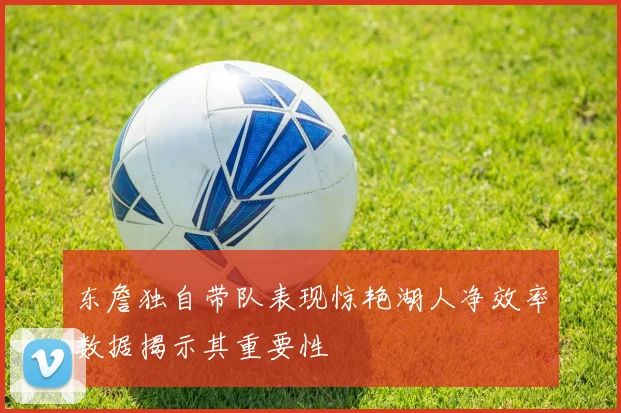 东詹独自带队表现惊艳湖人净效率数据揭示其重要性