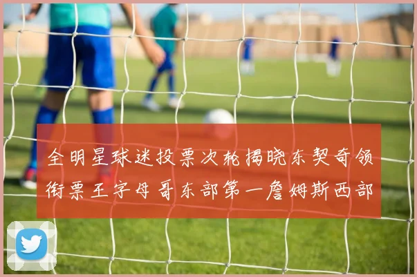 全明星球迷投票次轮揭晓东契奇领衔票王字母哥东部第一詹姆斯西部第八