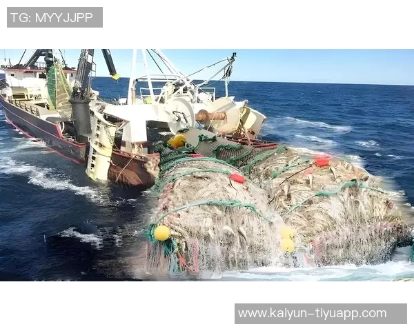 特拉维夫马卡比因球迷种族歧视事件遭罚款引发广泛关注 特拉维夫马卡比因球迷种族歧视事件遭罚款引发广泛关注